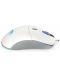 Gaming miš Endorfy - GEM Plus, optički, Onyx White - 4t