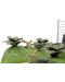 Set za igru Jada Toys - Jurassic Svijet Nano Scena - 4t