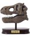 Komplet za istraživanje Buki Museum - Skull, T-Rex - 4t