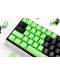 Kapice za mehaničku tipkovnicu Ducky - Green, 31-Keycap Set, zelene - 2t