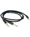 Kabel Master Audio - RCA381/3, 2x 6.3mm/3.5mm, 3m, crni - 1t