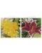 Kartice za slikanje perlama Grafix - Cvijeć, 2 komada, 13 х 13 cm - 3t