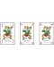 Karte za igranje Piatnik - model Bridge-Poker-Whist, smeđa boja - 2t