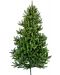 Božićno drvce Alpina - Divlja smreka, 150 cm, F 55 cm, zelena - 1t