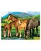 Set za slikanje akrilnim bojama Royal - Konji i ždrebad, 39 х 30 cm - 1t
