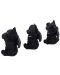 Set kipića Nemesis Now Adult: Humor - Three Wise Vampuss, 9 cm - 2t