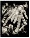 Set za graviranje Royal - Tarantula, 20 х 25 cm - 1t