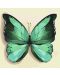 Set za slikanje po brojevima Ideyka - Zeleni leptir, 25 х 25 cm - 1t