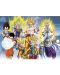 Set mini postera GB eye Animation: Dragon Ball Z - Group - 3t