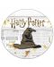 Set Funko POP! Collector's Box: Movies - Harry Potter, veličina 2XL - 10t