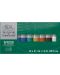 Set uljanih boja Winsor & Newton Winton - 10 boja, 21 ml - 1t