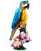 Konstruktor  3 u 1 LEGO Creator - Egzotična papiga (31136) - 3t