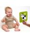 Banana Panda Baby Contrast Card Box - 6m+/9m+ - 3t