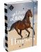 Kutija s elastičnom trakom Lizzy Card Wild Beauty Love - 33 x 24 x 5 cm - 1t