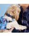 Ogrlica za pse Loungefly Disney: Lilo & Stitch - Stitch - 4t