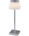 LED Stolna svjetiljka Rabalux - Taena 76010, IP 44, 4 W, prigušiva, srebrna - 1t