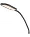 LED Lampion Rabalux - Adelmo 74009, IP 20, 10 W, crni - 5t