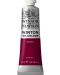 Uljana boja Winsor & Newton Winton - Magenta, 37 ml - 1t