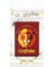 Magnet Pyramid Movies: Harry Potter - Gryffindor - 1t