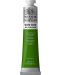 Uljana boja Winsor & Newton Winton - Krom zelena, 200 ml - 1t