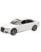 Metalni autić Newray - Audi A4, bijeli, 1:24 - 1t