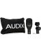 Mikrofon AUDIX - F2, crni - 2t