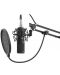 Mikrofon Genesis - Radium 300 XLR, crni - 5t