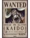 Mini poster GB eye Animation: One Piece - Kaido Wanted Poster - 1t