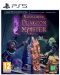 Naheulbeuk's Dungeon Master - Limited Edition (PS5) - 1t