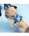 Oprsnica za pse s ruksakom Loungefly Disney: Lilo & Stitch - Stitch - 8t