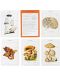 New York Botanical Garden Mushroom Identification Flashcards - 3t