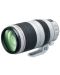 Objektiv Canon - EF 100-400mm f/4.5-5.6 L IS II USM - 3t
