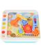 Edukativni komplet 5 u 1 Hola Toys - Montessori - 2t