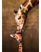 Slagalica Eurographics  od 1000 dijelova - Poljubac majke žirafe - 2t