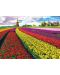 Slagalica Eurographics od 1000 dijelova - Polje s tulipanima - 2t