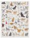 Slagalica Galison od 1000 dijelova - Slatke mačke - 2t