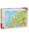 Slagalica Trefl od 1000 dijelova - Karta Europe - 1t