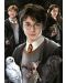 Slagalica Educa od 1000 mini dijelova - Harry Potter, minijatura - 2t