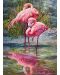 Slagalica Cherry Pazzi od 1000 dijelova - Život flaminga - 3t