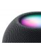 Prijenosni zvučnik Apple - HomePod mini, tamnosivi - 2t