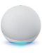Prijenosni zvučnik  Amazon - Echo Dot 4, bijele - 5t