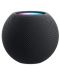 Prijenosni zvučnik Apple - HomePod mini, tamnosivi - 1t