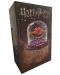 Replika The Noble Collection Movies: Harry Potter - Sorcerer's Stone - 3t