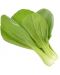 Sjeme Click and Grow - Bok Pak Choi, 3 punjenja - 2t