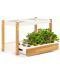 Pametna saksija Click and Grow - Smart Garden 25, bijela - 3t