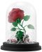 Kipić ABYstyle Disney: Beauty and the Beast - Enchanted Rose, 12 cm - 4t
