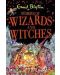 Stories of Wizards and Witches - 1t