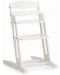 Hranilica BabyDan DanChair - High chair, bijela - 2t