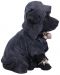 Kipić Nemesis Now Adult: Gothic - Reaper's Canine, 17 cm - 4t