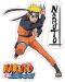 Naljepnice ABYstyle Animation: Naruto - Naruto & Jirayia - 2t